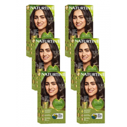 Naturtint 4G Altın Kestane Doğal Saç Boyası 170ML 6'lı Set